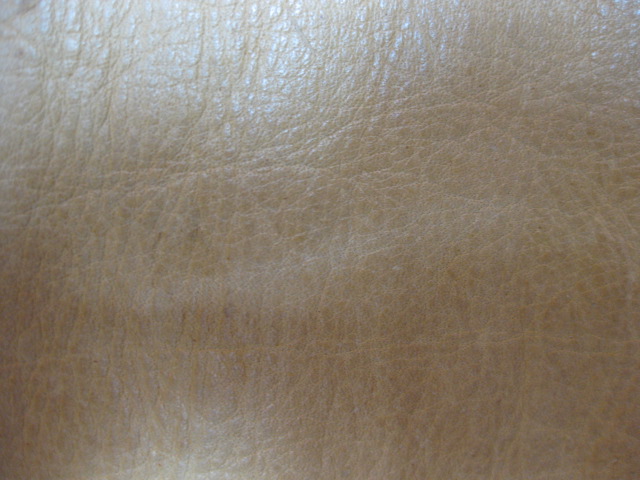 a0108963_20254839.jpg