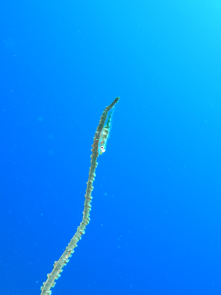 b0062363_19112354.jpg