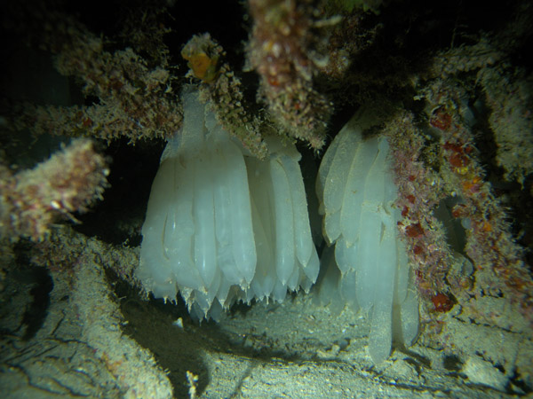 b0062363_19145392.jpg