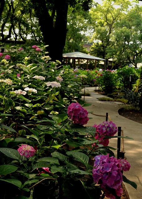 b0131167_004962.jpg