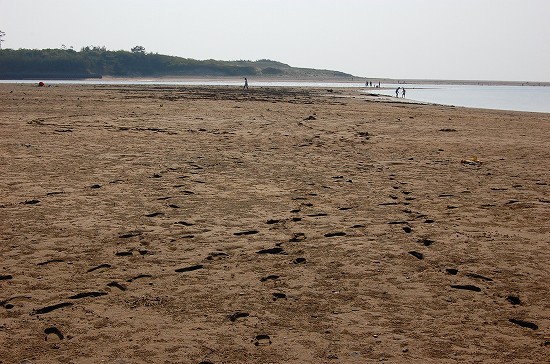 e0128367_16302918.jpg