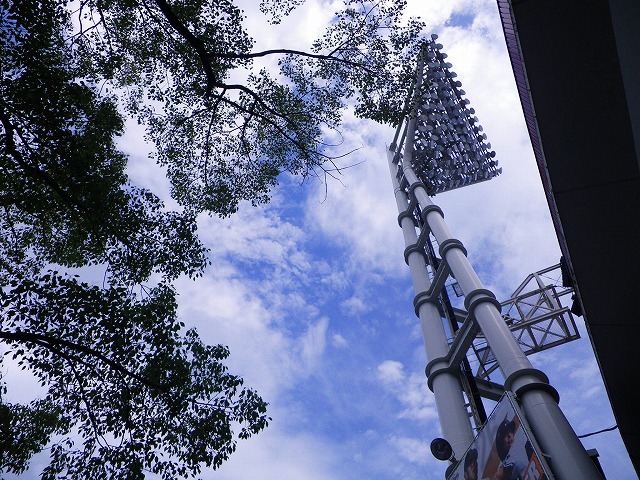e0078069_2015758.jpg