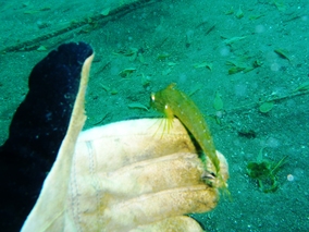 c0181073_9491622.jpg