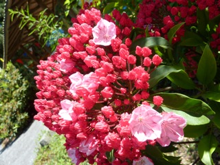 c0080075_2372156.jpg