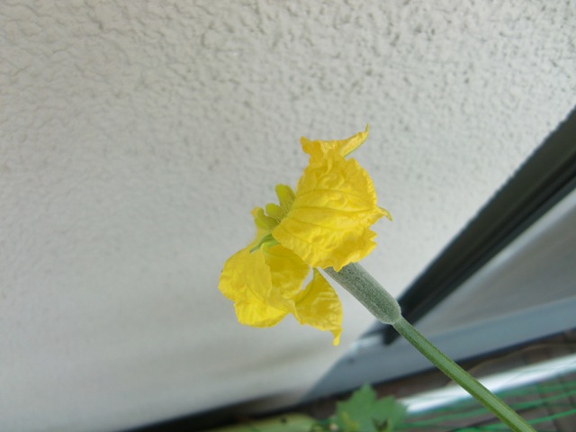 f0238779_717248.jpg