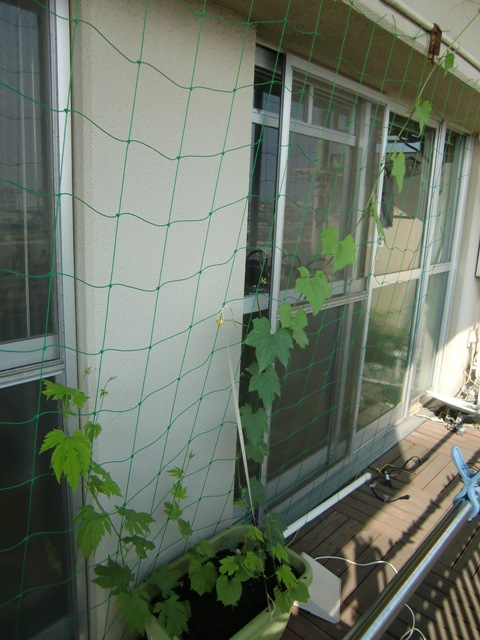 f0238779_7183683.jpg