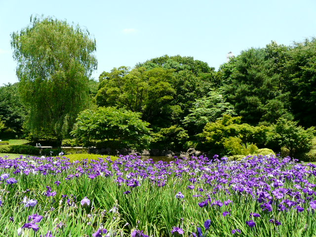 e0145782_18111059.jpg