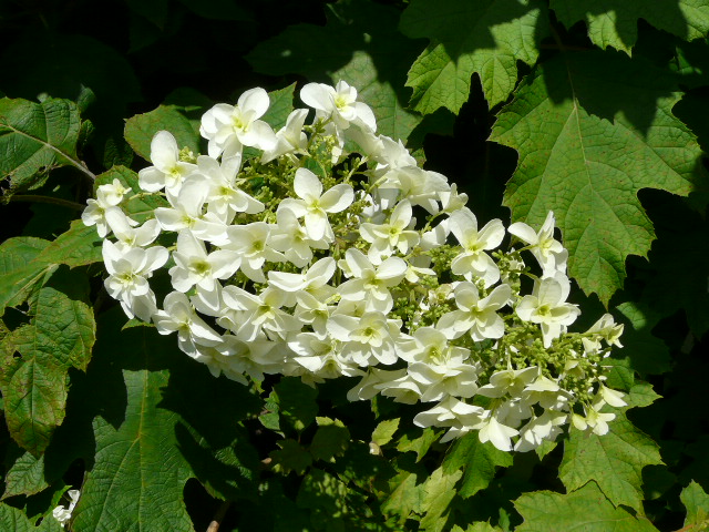 e0145782_1813461.jpg