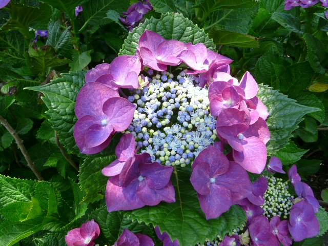 e0145782_1882814.jpg