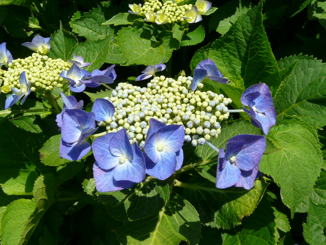 e0145782_1884931.jpg