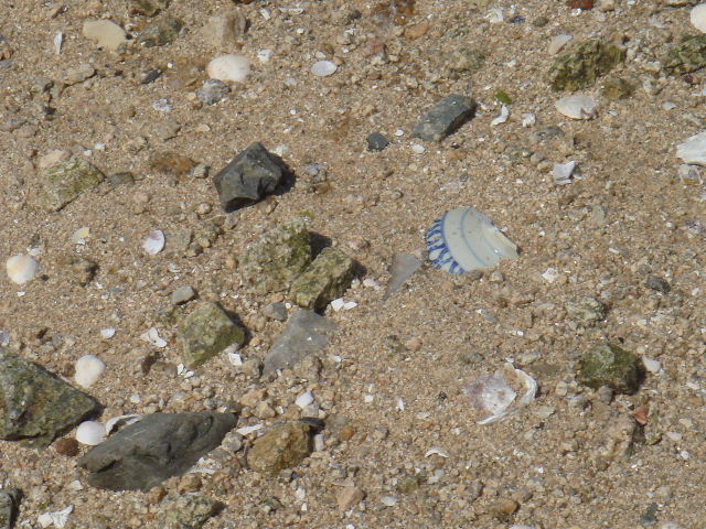 e0060485_0191464.jpg