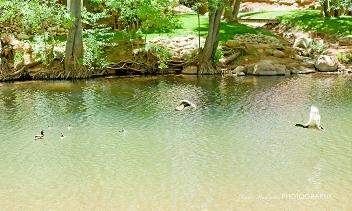 e0148185_23381467.jpg