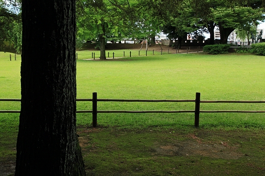 e0190885_16463991.jpg