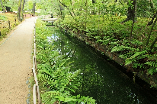 e0190885_16465394.jpg