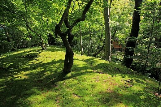 e0190885_16471098.jpg
