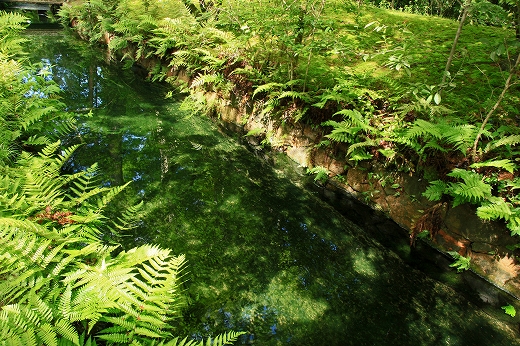 e0190885_16473723.jpg