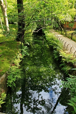 e0190885_1647415.jpg