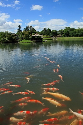 e0190885_16484893.jpg