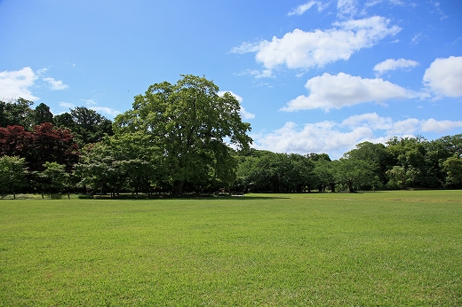 e0190885_1649393.jpg