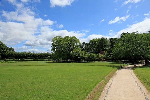 e0190885_16501514.jpg