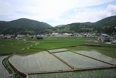 c0160488_1658427.jpg