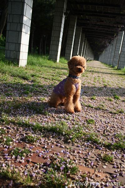 f0001895_1313455.jpg