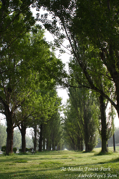 f0001895_1323967.jpg