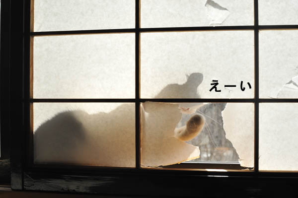 b0141397_11282480.jpg