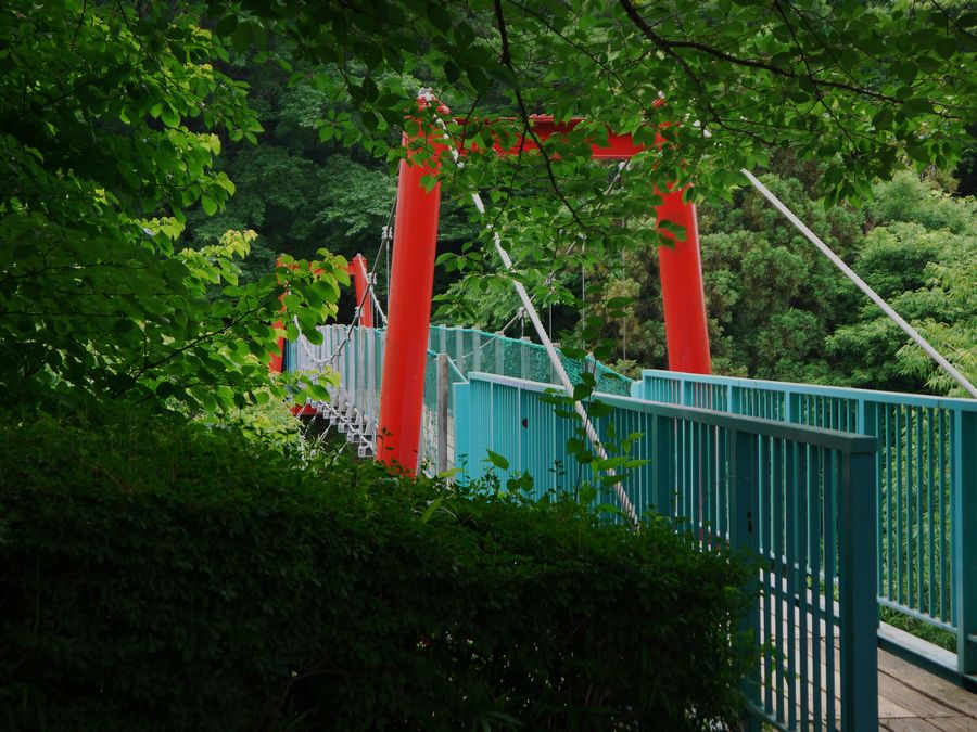 c0187503_2004238.jpg