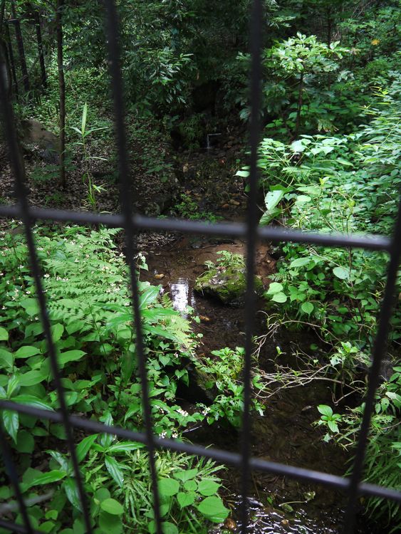 c0187503_201259.jpg