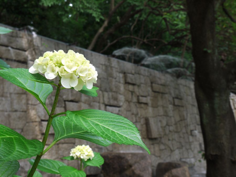 c0187503_2041164.jpg