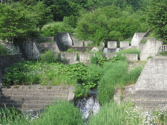f0202703_20293339.jpg