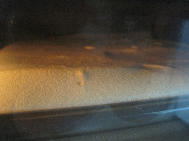 f0202703_5154239.jpg