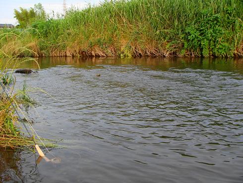 e0123808_10213014.jpg