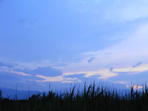 e0123808_1171064.jpg