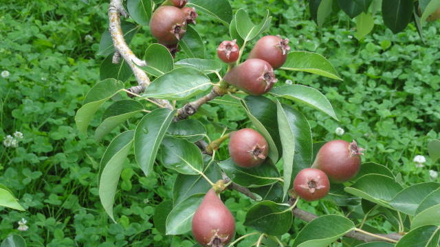 f0233414_213573.jpg