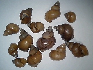 c0120316_14454780.jpg