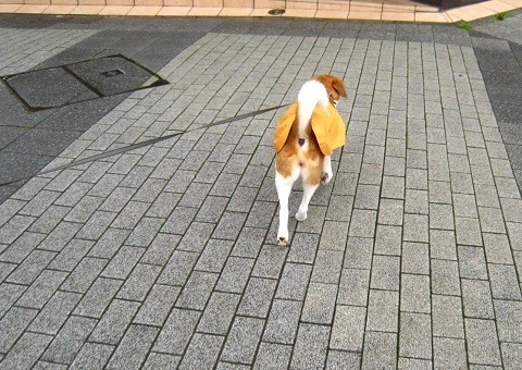 c0084117_20104178.jpg