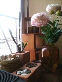 a0056722_1502388.jpg