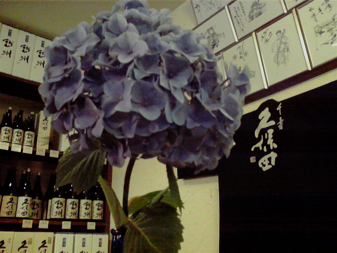 d0141922_16384543.jpg