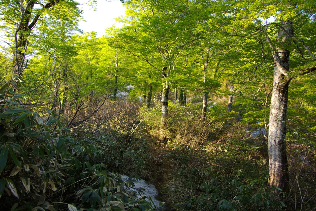 b0062024_7381485.jpg