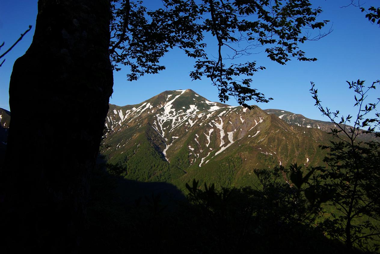 b0062024_7411326.jpg