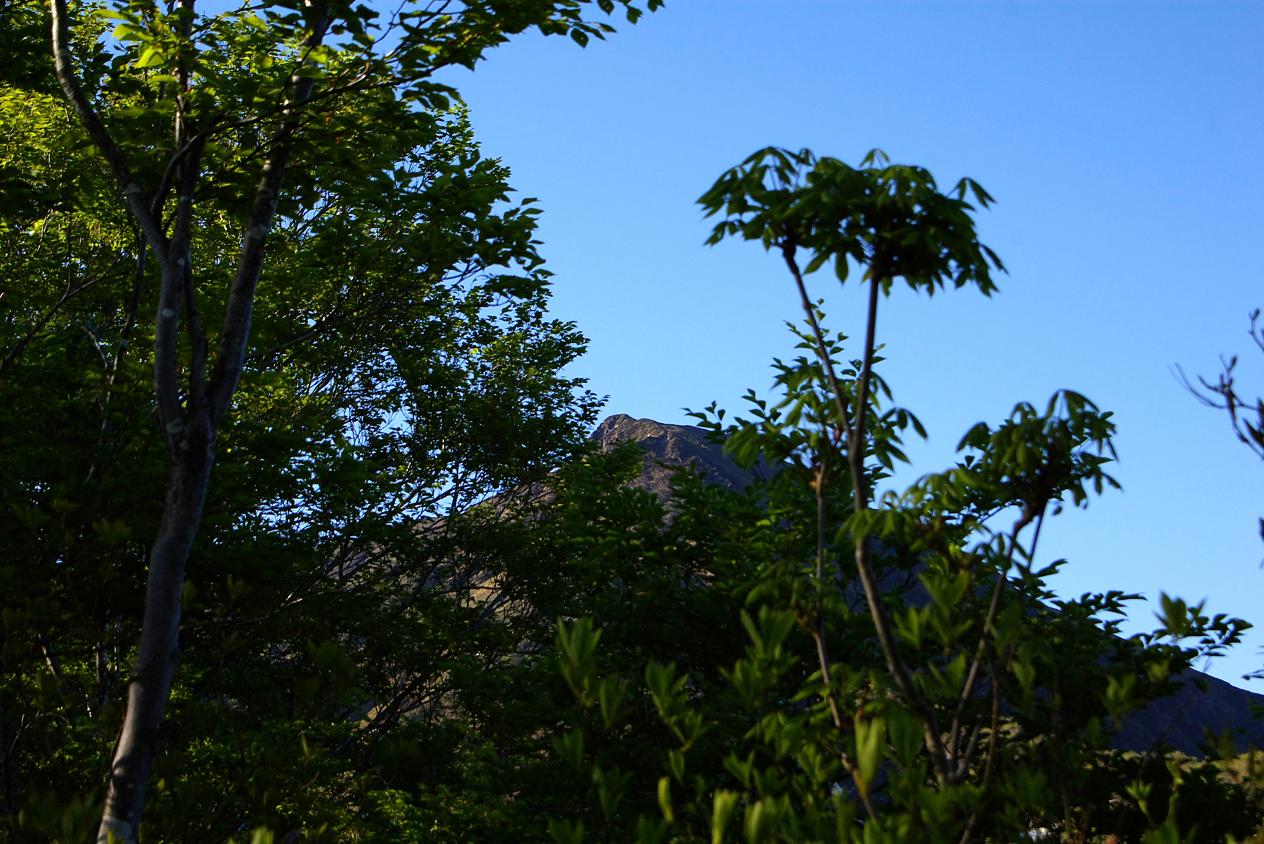 b0062024_7424170.jpg