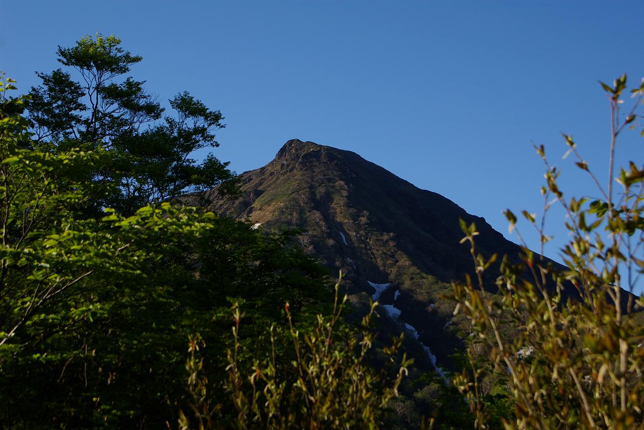 b0062024_7445592.jpg