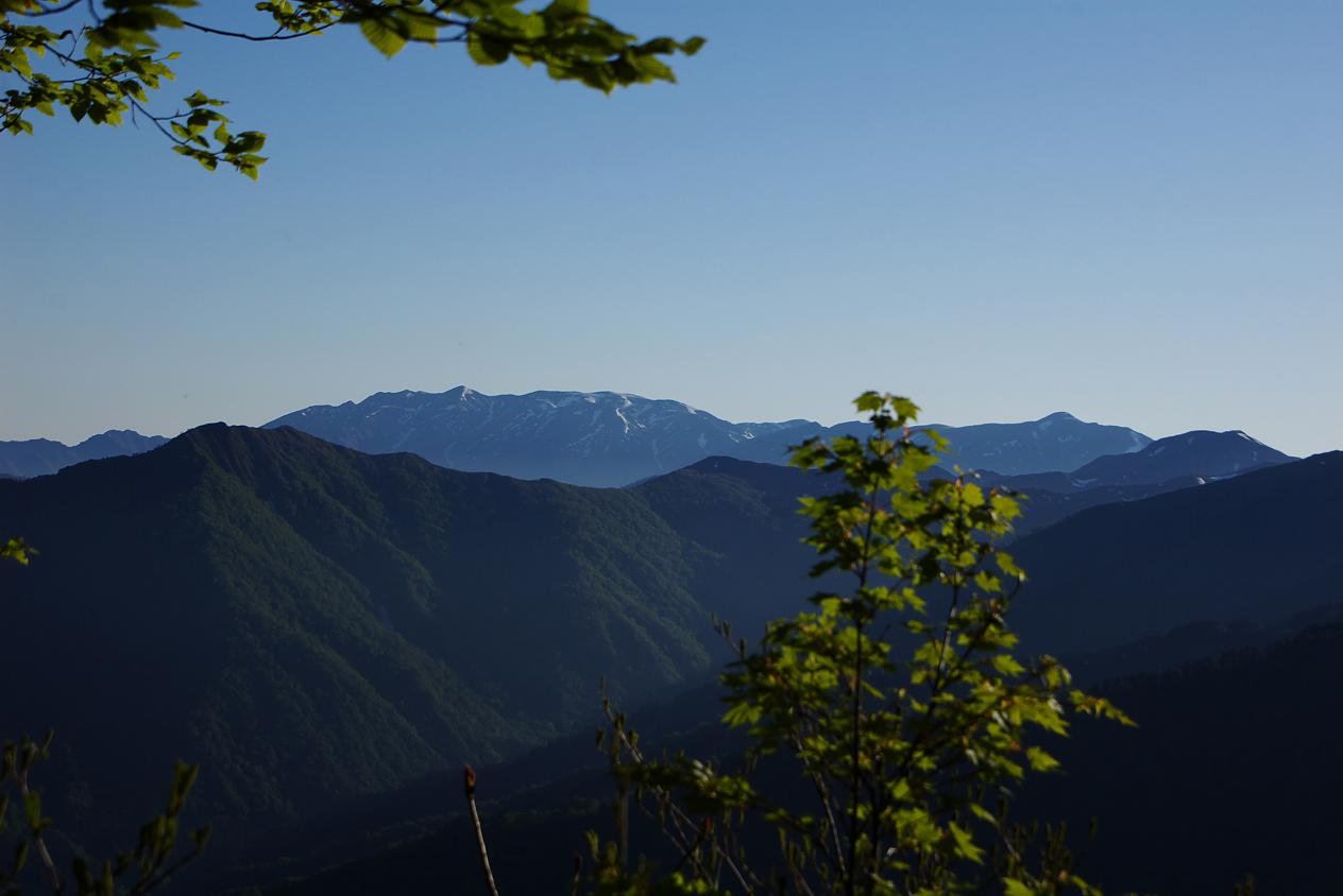 b0062024_7464288.jpg