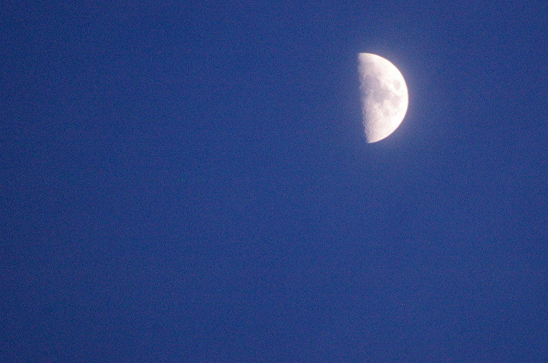 e0136424_8465410.jpg