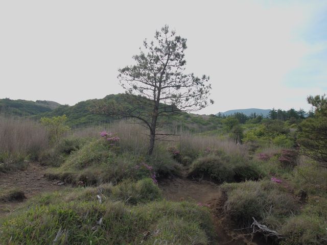 a0009825_22404687.jpg