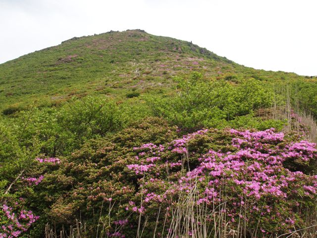 a0009825_22413475.jpg