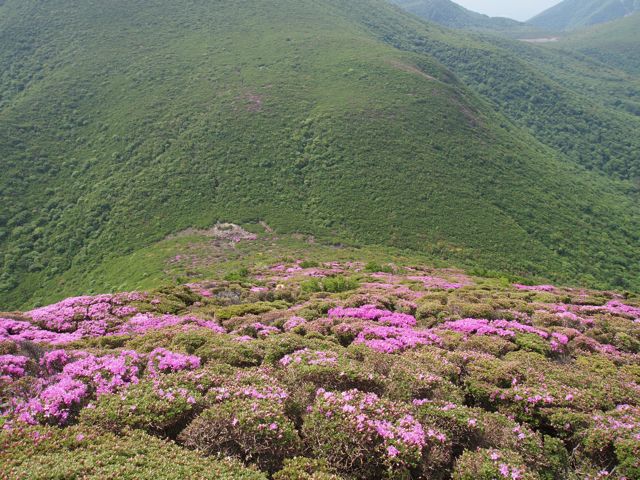 a0009825_22414471.jpg
