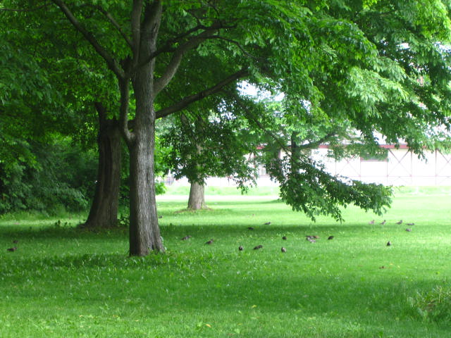 e0191826_23243145.jpg